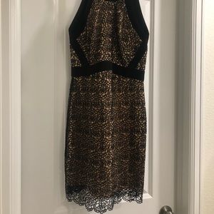 Black Lace Nude Cocktail Dress